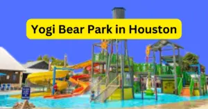 Yogi Bear park